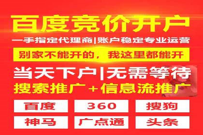 网络推广竞价策略案例分析